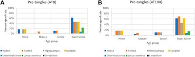 Neuropathology of Aging in Cats and its Similarities to Human Alzheimer’s Disease